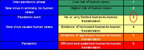 The WHO pandemic phases